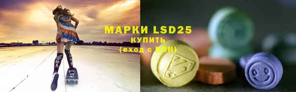 шишки Абаза