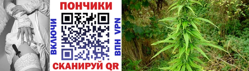 Марихуана марихуана  закладки  Пыталово 